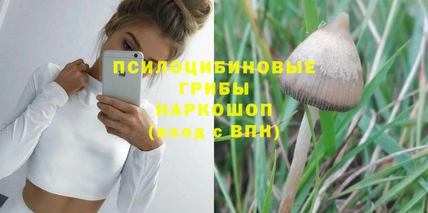 мдпв Нязепетровск
