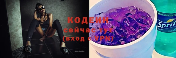 МДПВ Няндома