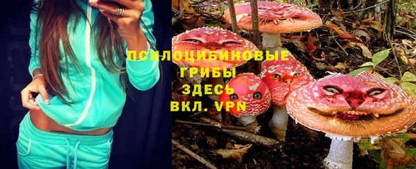 МДПВ Няндома