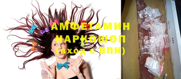 ПСИЛОЦИБИНОВЫЕ ГРИБЫ Осинники