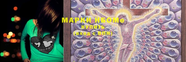ПСИЛОЦИБИНОВЫЕ ГРИБЫ Осинники