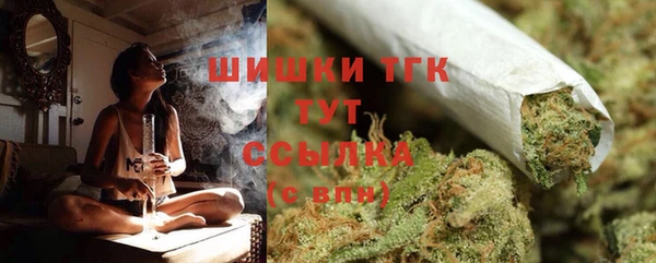 ПСИЛОЦИБИНОВЫЕ ГРИБЫ Осинники