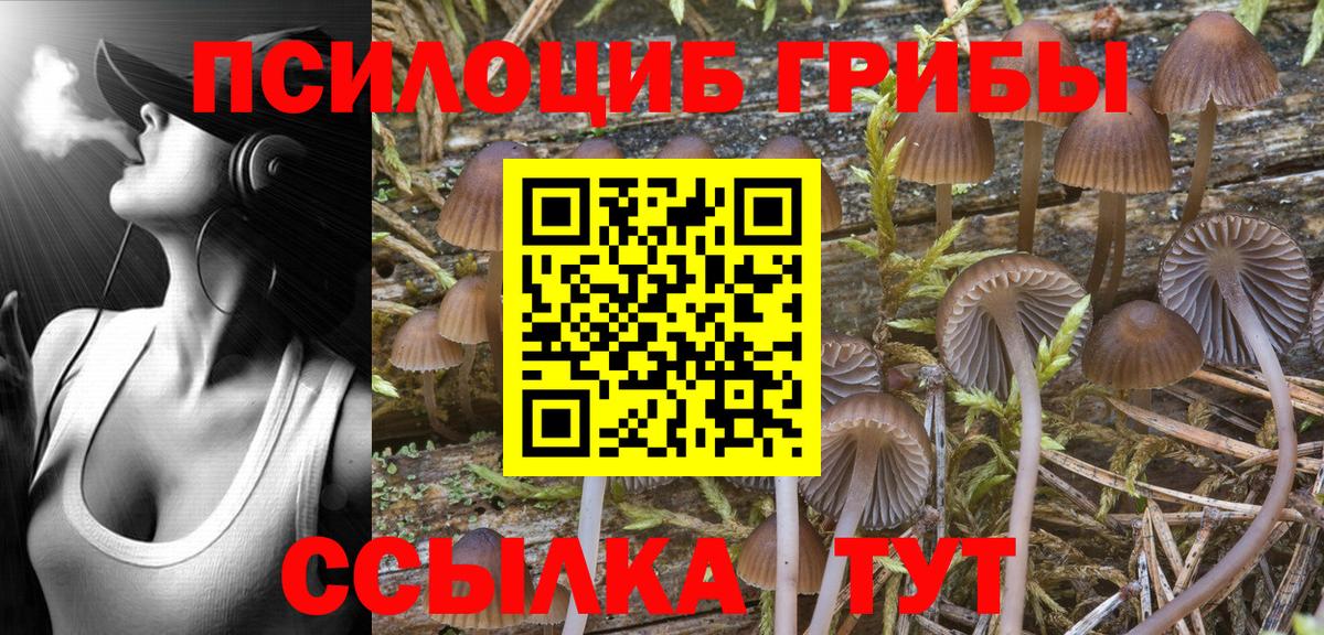 Усть-Лабинск  Галлюциногенные грибы Cubensis  Вход с VPN 